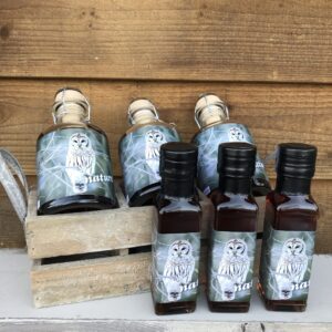Nature – Eule